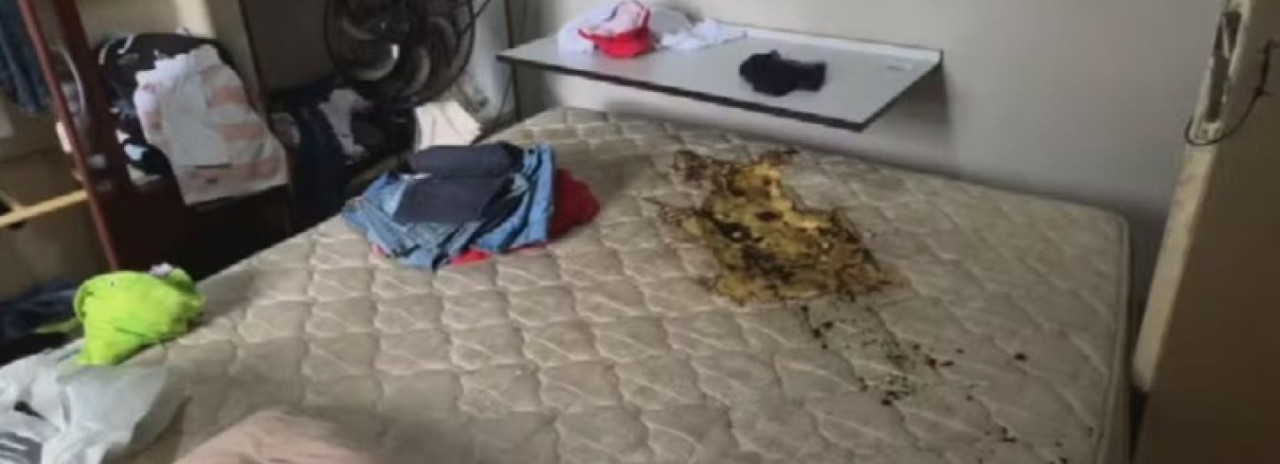 Mulher morre após ter corpo incendiado e ser agredida pelo namorado; caso pode ser tratado como feminicídio