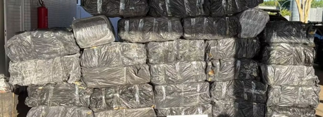PF apreende mais de 1 tonelada de maconha escondida em carga de mandioca 
