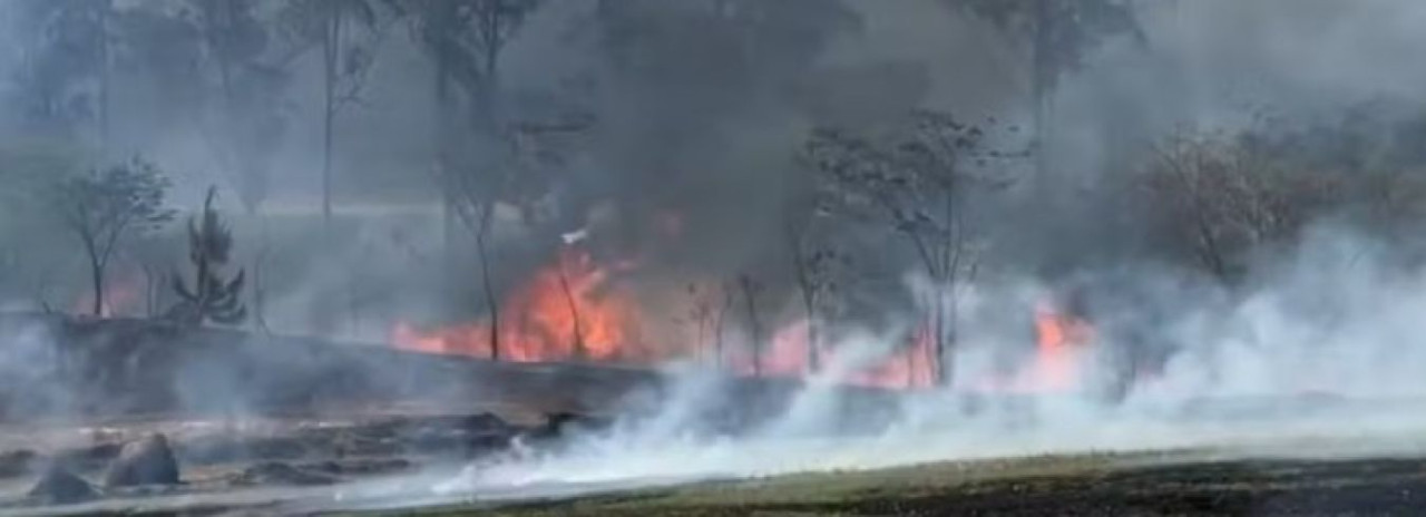 Queimadas no Noroeste Paulista disparam e passam a ser monitoradas com satélites e drones térmicos