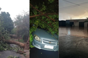 Temporal causa alagamentos e queda de árvores na região 