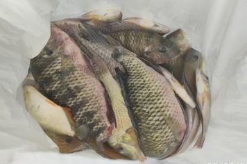 Homens são multados por pesca irregular em Santo Antônio do Aracanguá