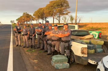Polícia Militar apreende mais de 300 quilos de maconha em rodovia de Penápolis