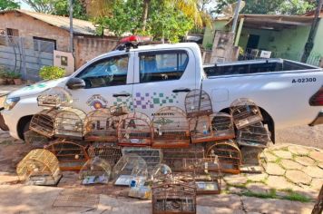 Homem é multado em R$ 13 mil por manter aves silvestres em cativeiro  