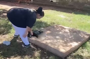 Homem é preso em Santo Antônio do Aracanguá suspeito de cortar perna do próprio cachorro com faca e é liberado após audiência