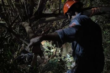 Motorista morre após caminhão cair em barranco de ponte em Aracanguá