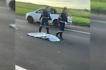 Mulher atropelada em rodovia é declarada morta, deixada na pista e reanimada minutos depois