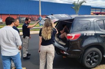 DIG prende mulher suspeita de aplicar golpes de R$ 6,5 milhões na região