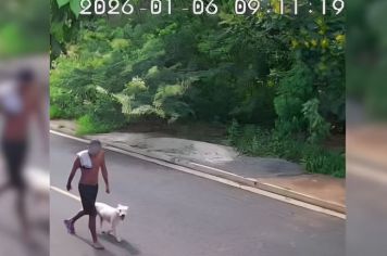 Suspeito de abandonar pit bull que morreu após maus-tratos é identificado