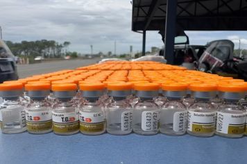 Polícia apreende 420 ampolas de medicamento de uso controlado