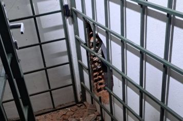 Criminosos invadem loja em Auriflama e furtam mais de 70 armas durante feriado