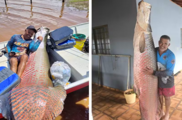 Pescador captura pirarucus gigantes de 133 kg e 161 kg no Rio Grande