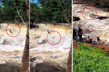 Bombeiros retomam buscas por jovem que desapareceu em cachoeira de Palestina