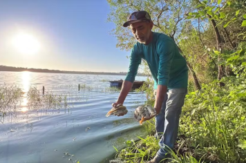 Piscicultores estimam prejuízo de R$ 1 milhão após morte de 30 toneladas de peixes 