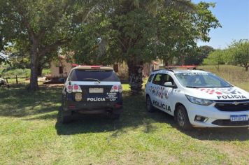 Homem é preso após amputar pata de cachorro com faca em  Aracanguá