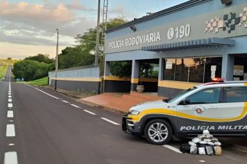 Adolescente é apreendido com mais de 7 kg de supermaconha em ônibus interestadual 