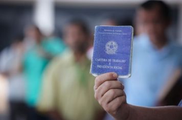Estado de SP gera mais de 2 mil empregos formais por dia em 2024