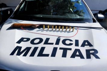 Idoso é preso em Auriflama após atirar em cachorro e manter arma ilegal na zona rural