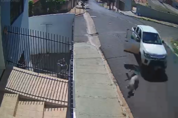 Caminhonete desgovernada desce rua e atinge muro em Auriflama