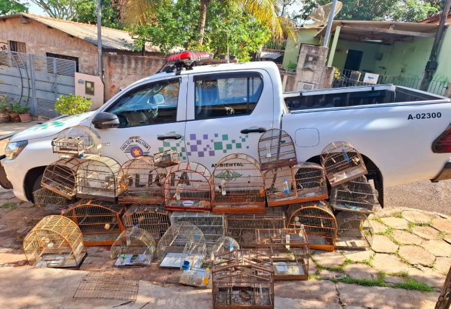 Homem é multado em R$ 13 mil por manter aves silvestres em cativeiro  