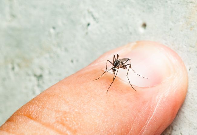 Saúde confirma segunda morte por dengue no ano em Santa Fé do Sul