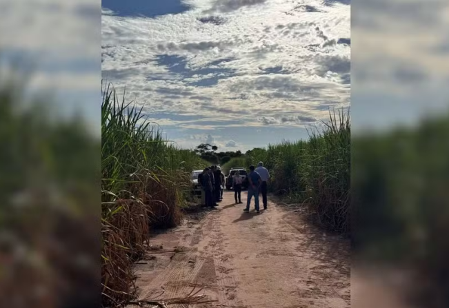 Mulher é encontrada morta em canavial às margens de rodovia em Araçatuba