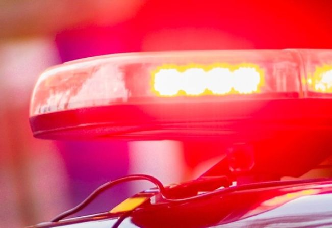 Filho é preso por tráfico de drogas após denúncia da própria mãe em Guzolândia