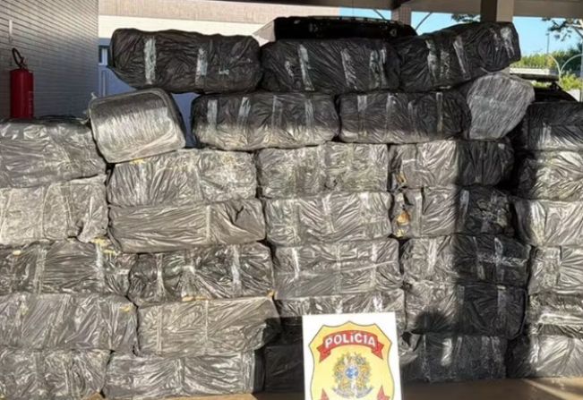 PF apreende mais de 1 tonelada de maconha escondida em carga de mandioca 